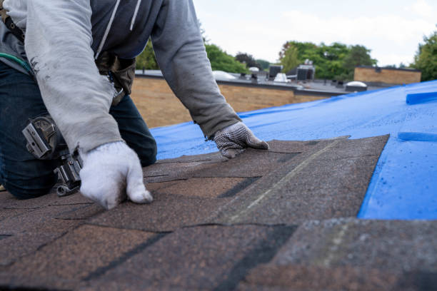 Best Roof Repair Services  in Altamont, KS